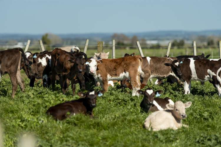 98 Pukehina Parade Pukehina_23