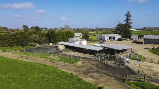 161 Bellevue Road Matangi_1