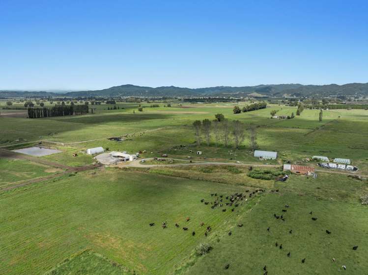 379B Powdrell Road Awakeri_5