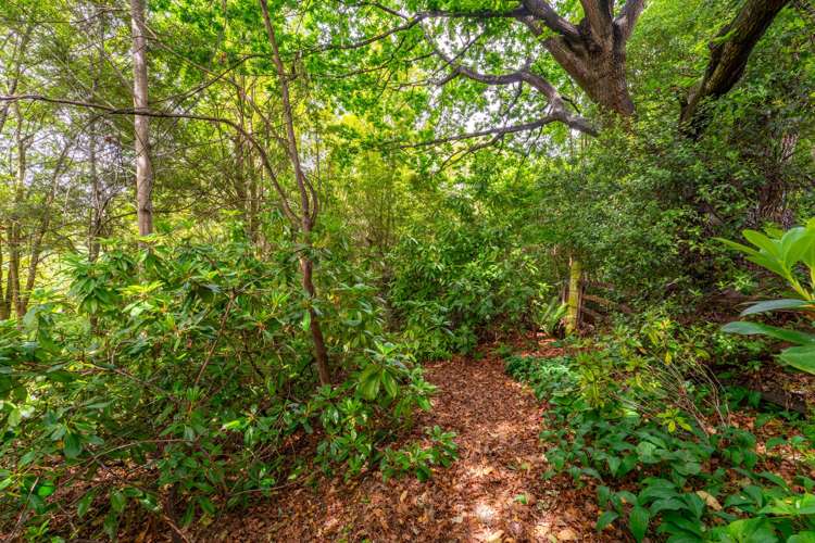 64B Gleniti Road Gleniti_13