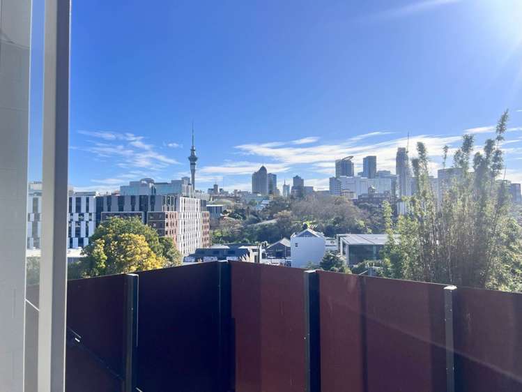 28 Heather Street Parnell_7