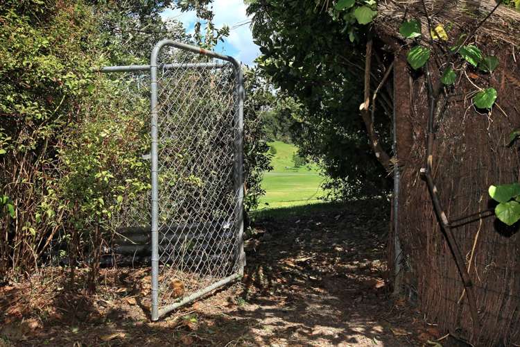 8 Wallingford Street Grey Lynn_9