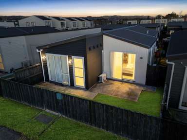 6 Swamp Kauri Grove_1