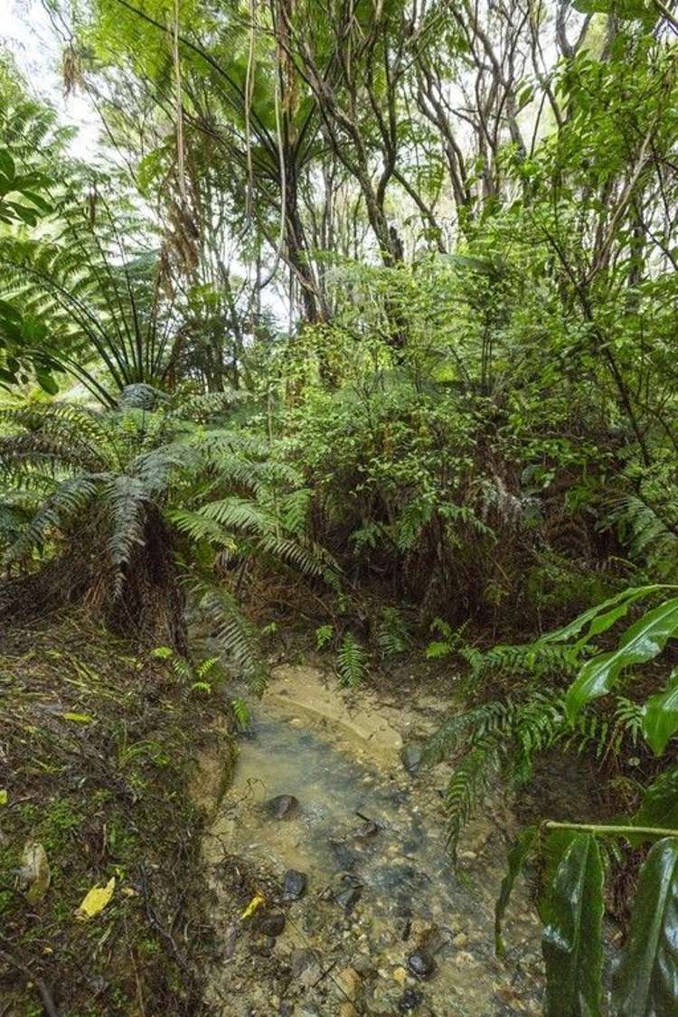 584 Matakana Valley Road Matakana_15