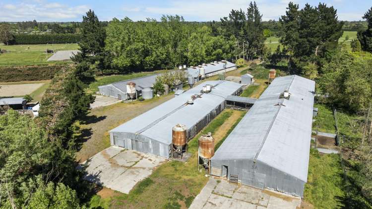 66 Boundary Road Ashley_20