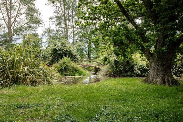 78286 State Highway II Dannevirke_25