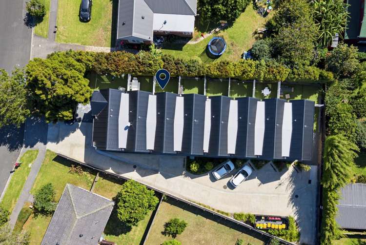 3/1 Jersey Avenue Mt Albert_15