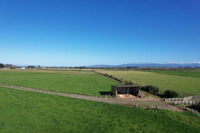 488 Thornbury Waimatuku Road Thornbury_3