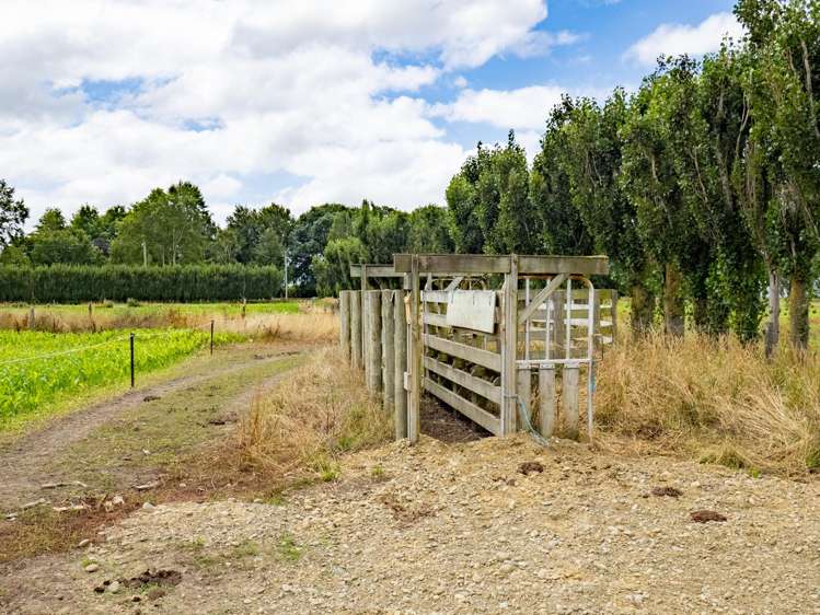 279 Longbeach Road Willowby_23