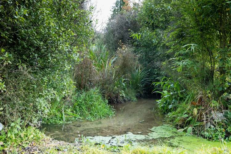 35 Church Street Geraldine_17