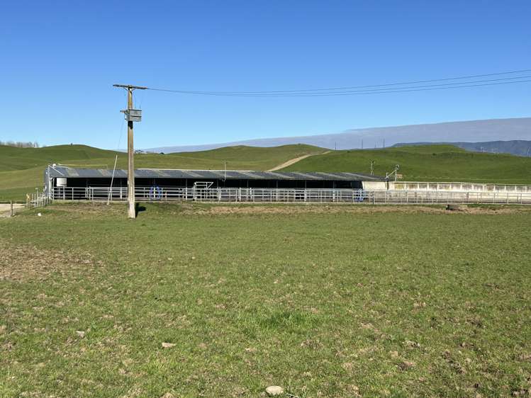 76412 State Highway 2 Rangitikei Surrounds_8