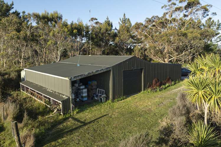 115 Snake Creek Road Collingwood_19