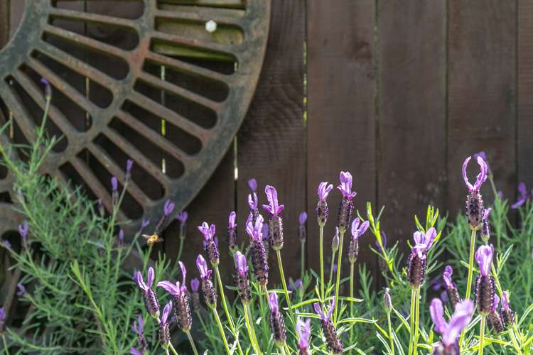 16 Gavin Place Huntly_28