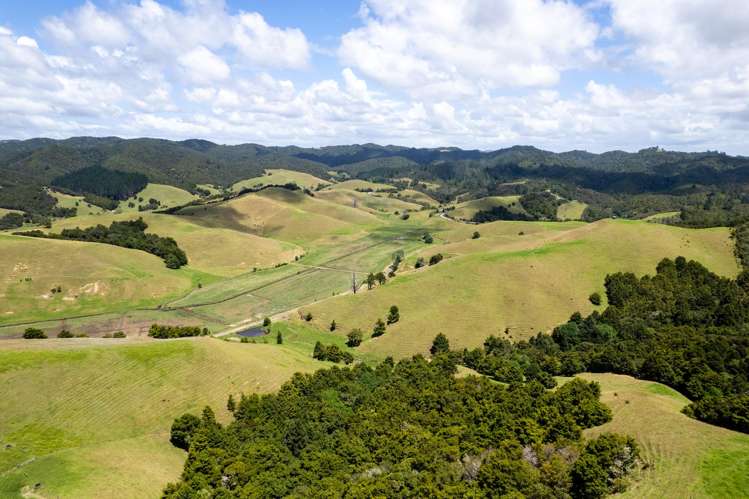 538 Hailes Road Whananaki_29