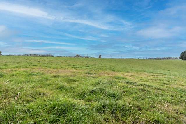22 Paterson Road Waimumu_2