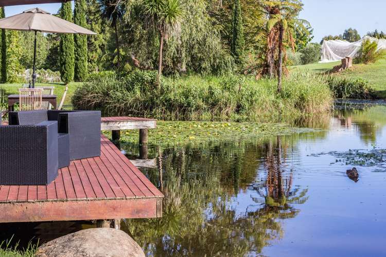 56 Wiroa Road Kerikeri_33