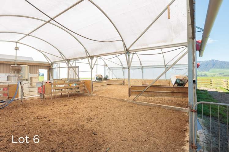 611D/631 Tauranga Road, RD 3 Matamata_16