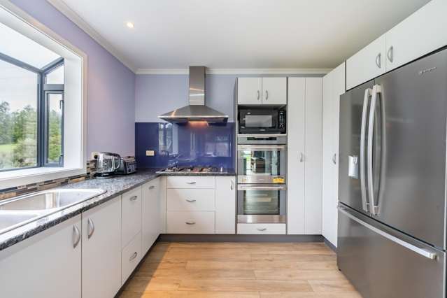 93 Emerald Hill Drive Birchville_4