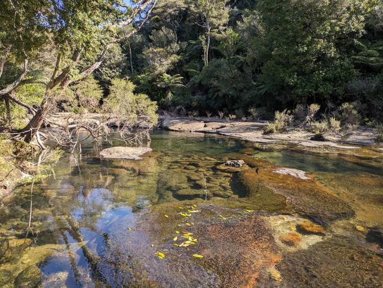 210 Wainui South Road Whakamarama_19