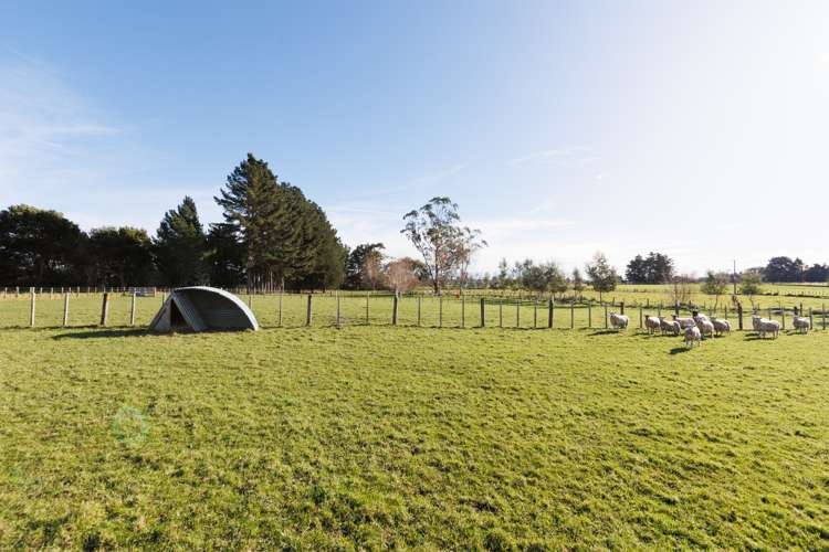 62 Nga Tawa Road Marton_18