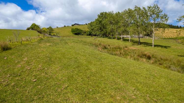 111 Magnolia Tree Way Kerikeri_7