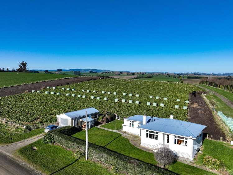 125B Davidson Road Mimihau_8