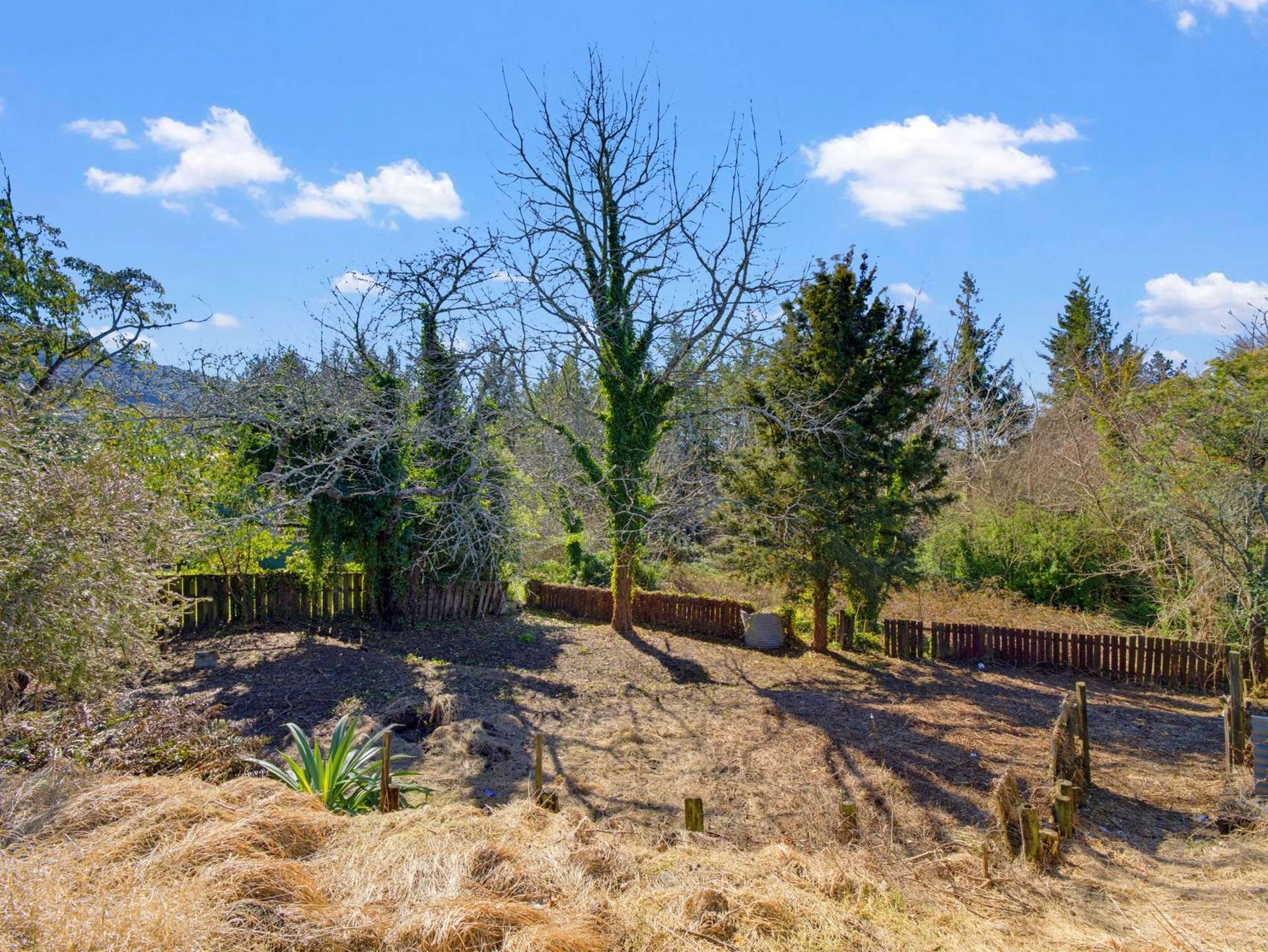 41A Edmund Road Mangakakahi_0