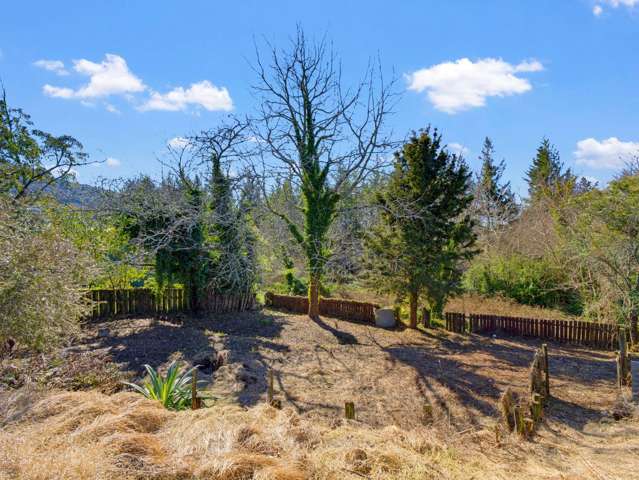 A Leafy Section with Room to Shape