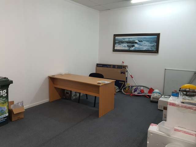 17 Carlyle Street Napier South_3