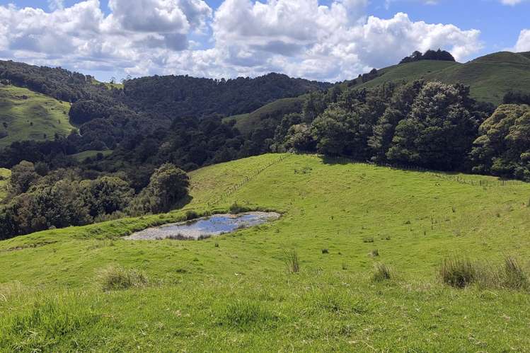 632 Marlow Road Maromaku_3