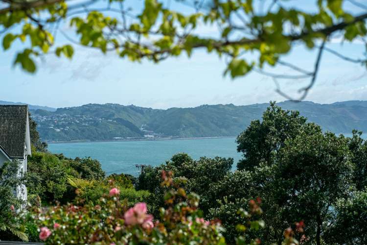 15 Thane Road Roseneath_15