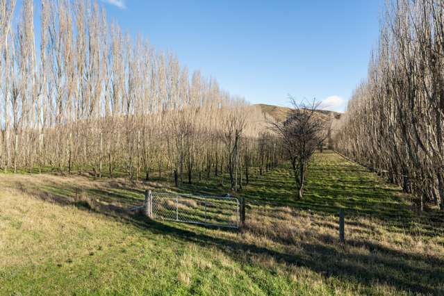 19 Hillies Road Kurow_1