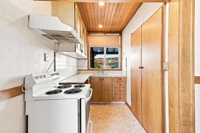 25 Kirkcaldy Street South Dunedin_1