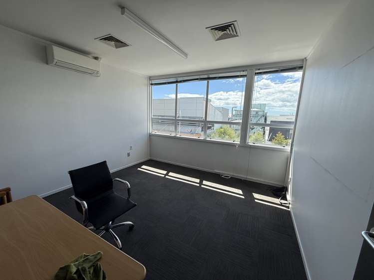 117 Willow Street Tauranga_5