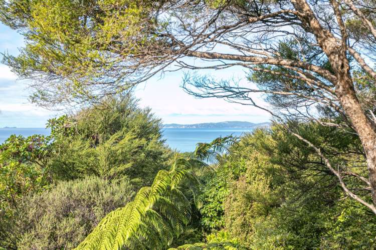 486 Tuateawa Road Coromandel_6