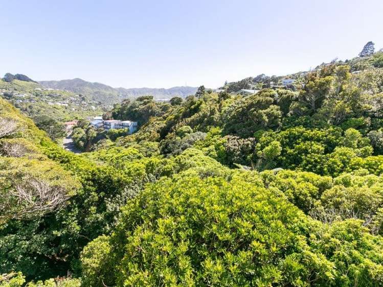 103a Warwick Street Wilton_10