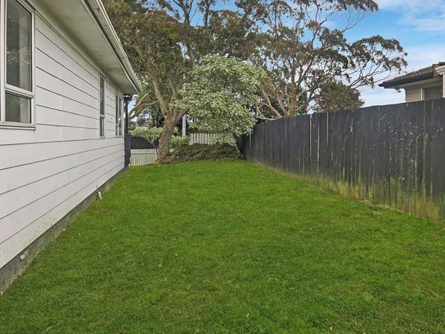 213 Wordsworth Road Clendon Park_2