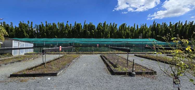 163 Airfield Road Takanini_9