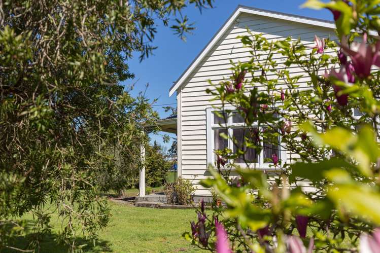 3363 State Highway 2 Carterton_32