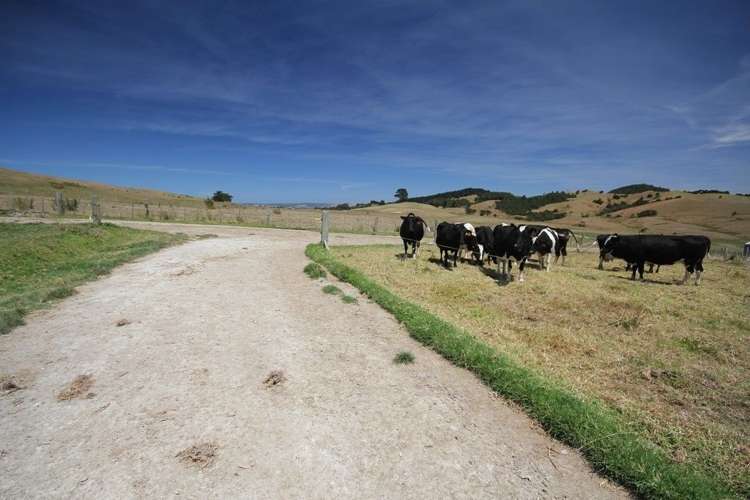 283 Oparakau Road Matakohe_14