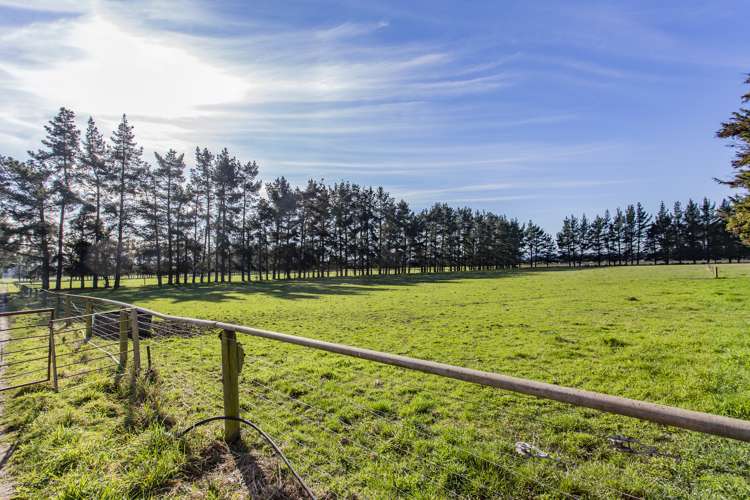 1197 Wolffs Road West Eyreton_14