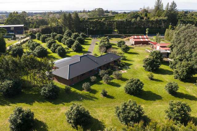 55 Pine Ridge Lane Aongatete_3