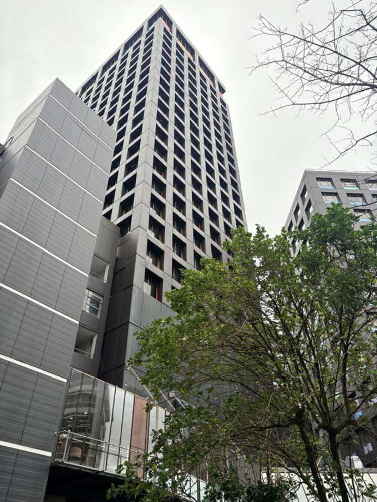 Level 4/8 Gilmer Terrace Wellington Central_3