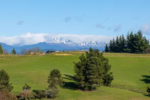 240 George Harvey Road Upper Moutere_3