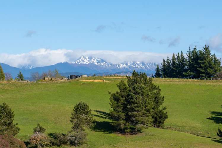 240 George Harvey Road Upper Moutere_3