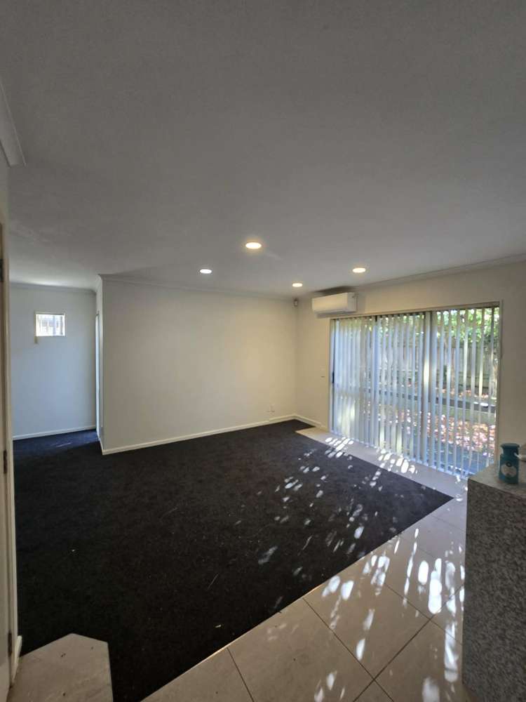 67 Skelligs Drive Flat Bush_3