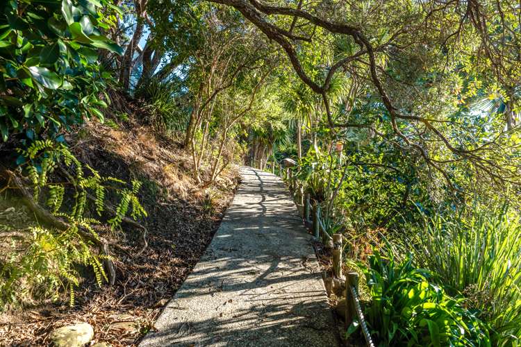 1a Waikare Road Oneroa_9