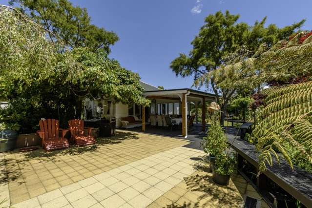 480B Youngson Road Whakamarama_3