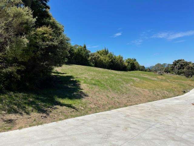 Lot 2, 250 Okura River Road Okura_3