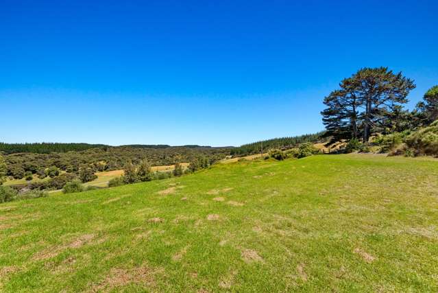 Lot 1/789 Wilson Road, South Head Helensville_3
